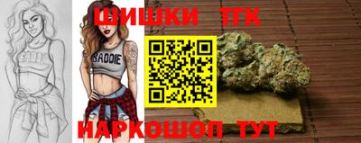 индика Коммунар